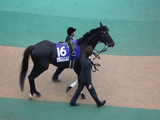 ���n�����ʐ^-10