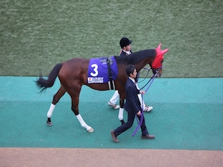 ���n�����ʐ^-11