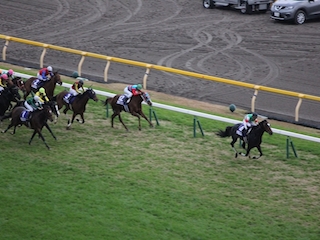 ���n�����ʐ^-13