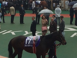 ���n�����ʐ^-21