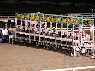 ���n�����ʐ^-33