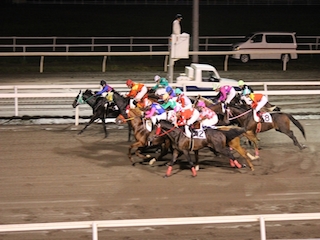 ���n�����ʐ^-34