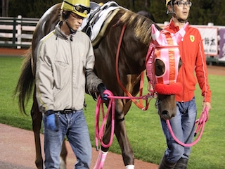 ���n�����ʐ^-35