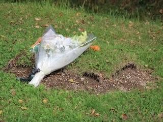 ���n�����ʐ^-36