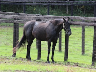 ���n�����ʐ^-37