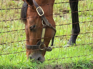 ���n�����ʐ^-39