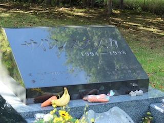 ���n�����ʐ^-40