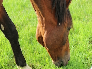 ���n�����ʐ^-41