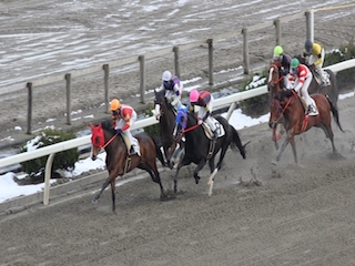 ���n�����ʐ^-50