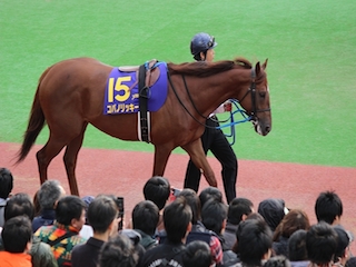 ���n�����ʐ^-51