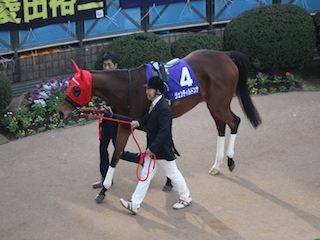 ���n�����ʐ^-52