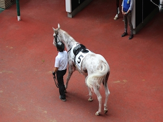 ���n�����ʐ^-53