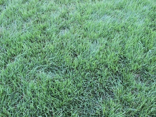 ���n�����ʐ^-54