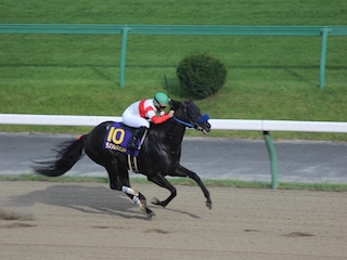 ���n�����ʐ^-62