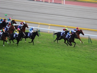 ���n�����ʐ^-65