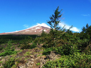 アウトドア部写真-10
