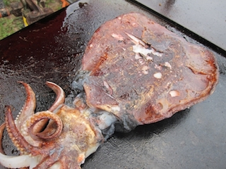 アウトドア部写真-54