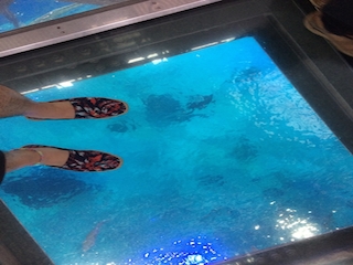 ���s���ʐ^-59